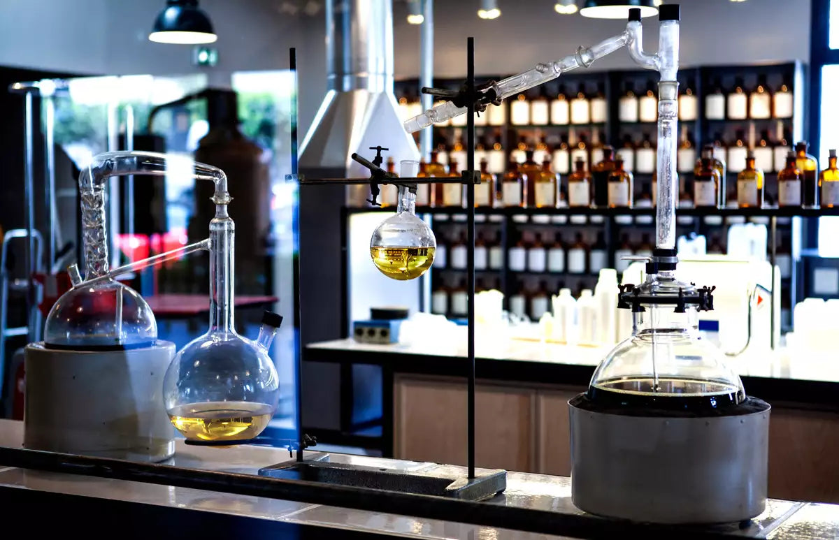 Introducción a los Perfumes de Equivalencia: Fragancias de Lujo a Precio Asequible